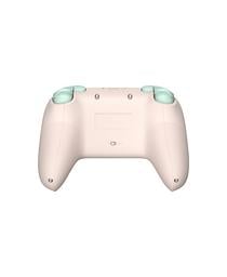 8BitDo Mint Controller - Back